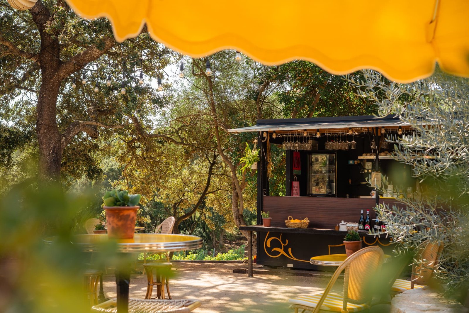 Wine Truck Terra IóN, Mallorca