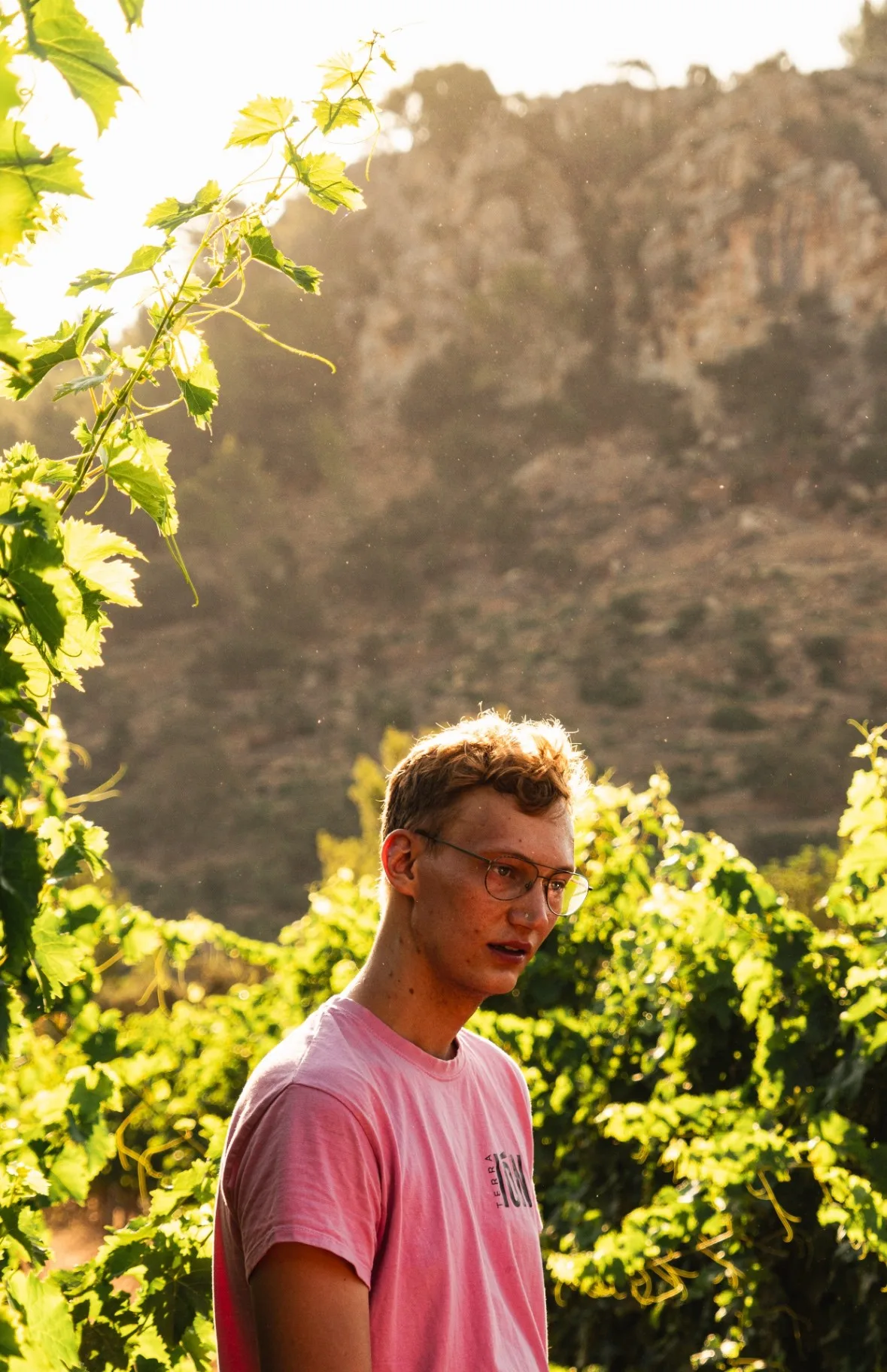Winemaker Experience