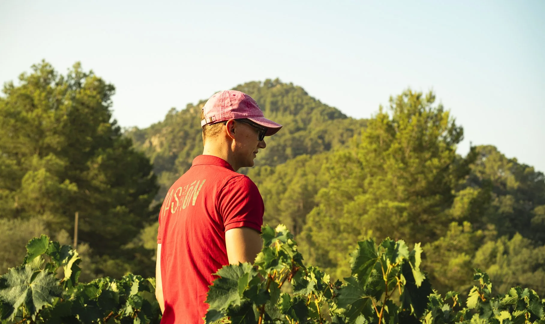 Winemaker Experience